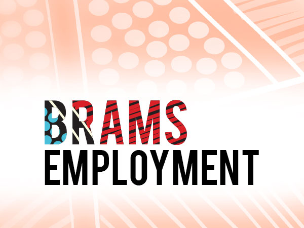 Expression of Interest – Careers in BRAMS